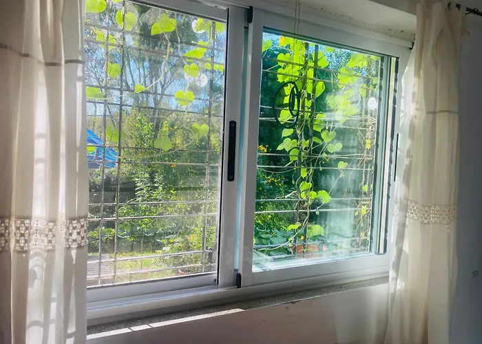 La Casita Azul, Tanti